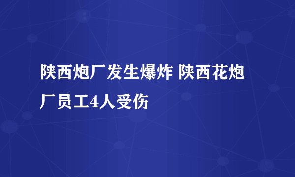 陕西炮厂发生爆炸 陕西花炮厂员工4人受伤