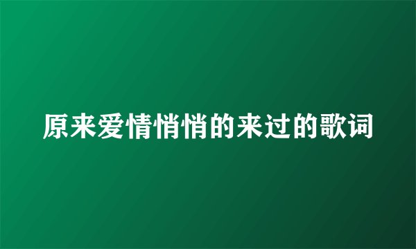 原来爱情悄悄的来过的歌词