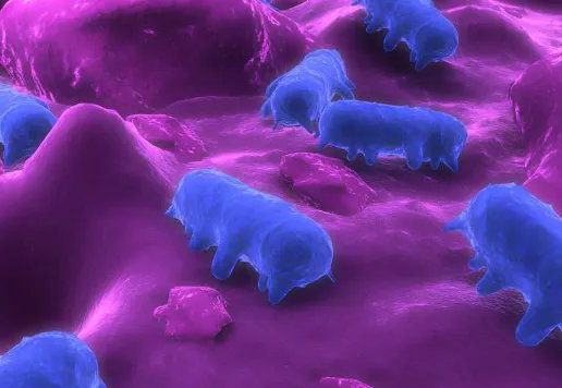 美国43州640人感染沙门氏菌,来源是什么?