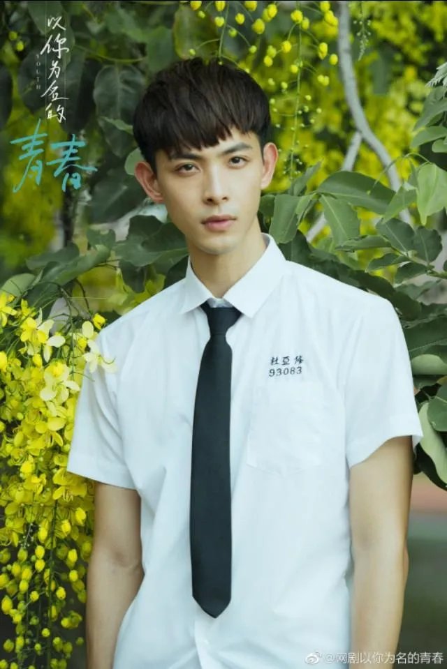 如何评价网剧《以你为名的青春》?