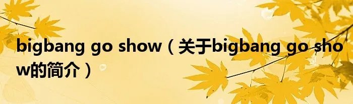 bigbang go show（关于bigbang go show的简介）