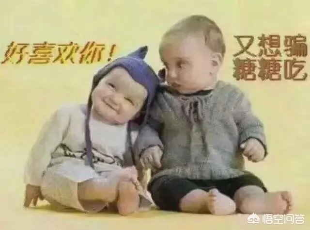 乐趣网傲视天地