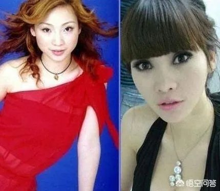 哪些女明星整过容？