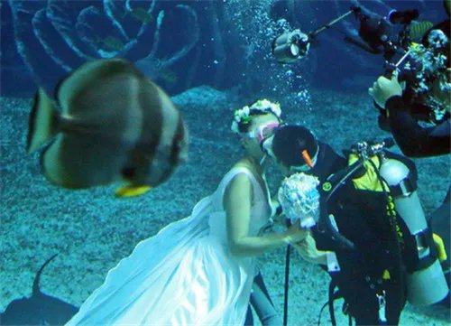 海底婚礼流程策划 怎么在海底举办婚礼