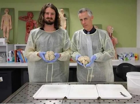 人死前会看到什么?死亡前常见场景大揭秘（图文）