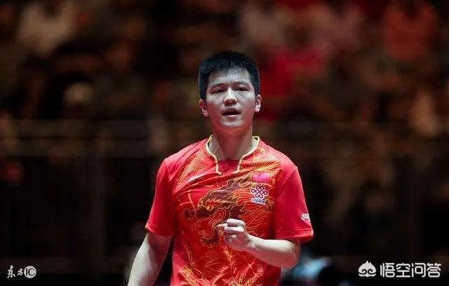 樊振东输张本智和