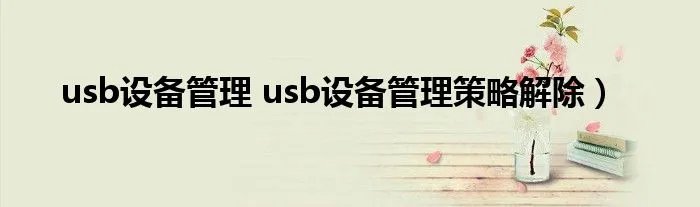 usb设备管理 usb设备管理策略解除）