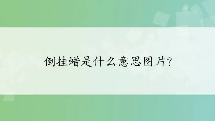 倒挂蜡是什么意思图片?