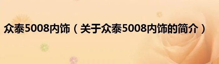 众泰5008内饰（关于众泰5008内饰的简介）