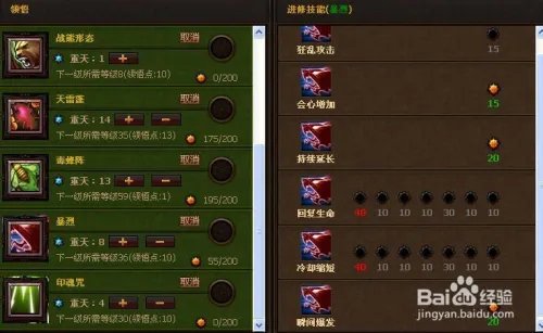 斗战神果子狸加点