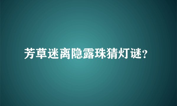 芳草迷离隐露珠猜灯谜？