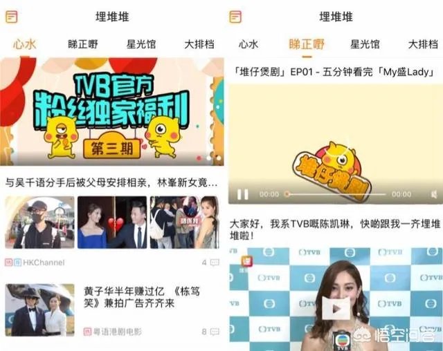最近TVB的新剧在哪里能看？