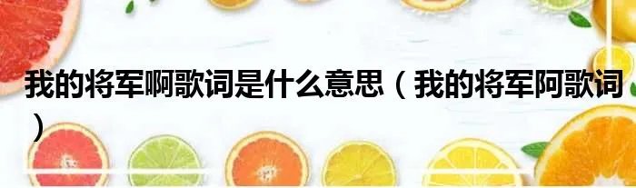 我的将军啊歌词是什么意思（我的将军阿歌词）