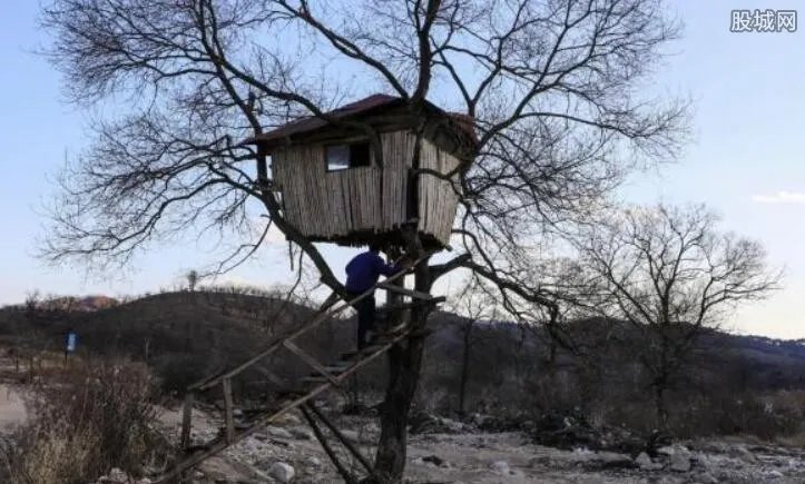 男子捡140斤太岁获利300万 太岁为什这么值钱？