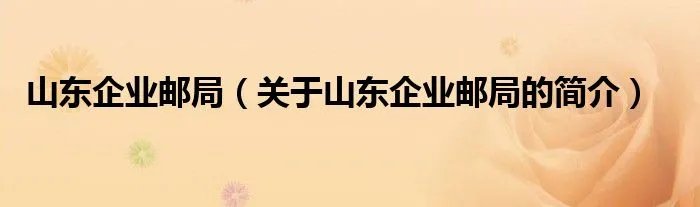 山东企业邮局（关于山东企业邮局的简介）