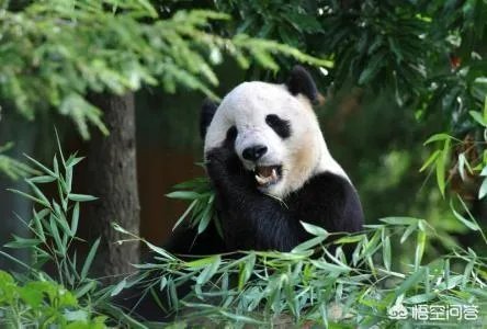 乐趣网傲视天地