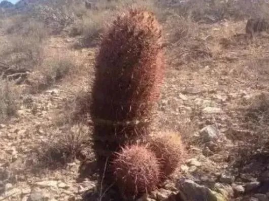 13个图片看你污不污:第一样看就能迷惑到你