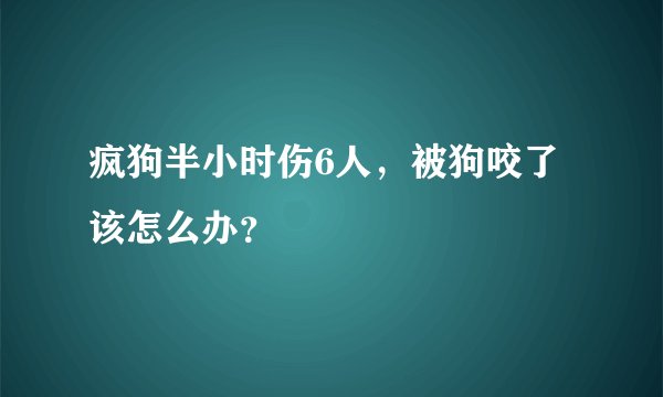 疯狗半小时伤6人，被狗咬了该怎么办？