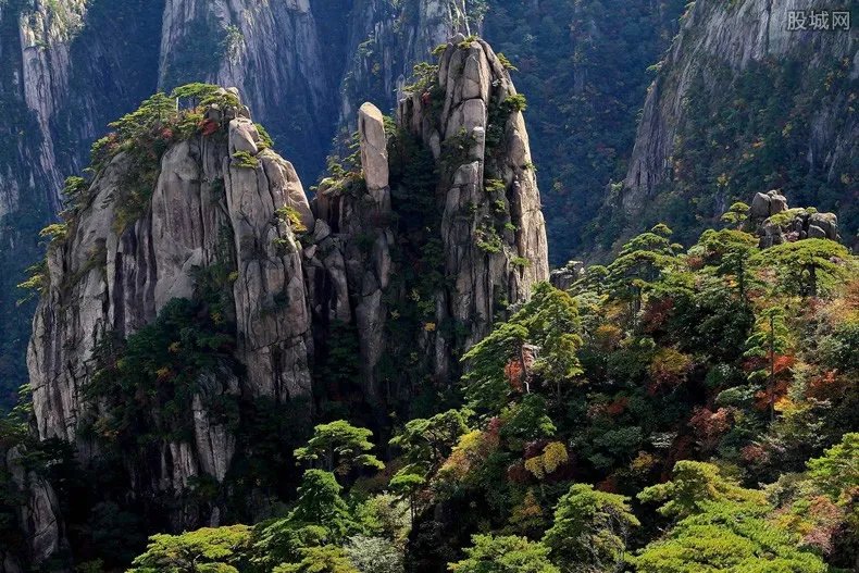 黄山景区向全国医护免票一年 景区优惠名单出炉