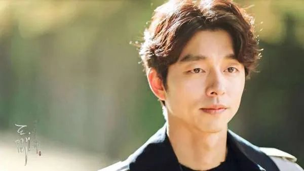 怎么评价孤单又灿烂的神-鬼怪?