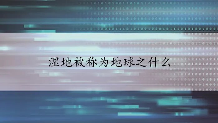 湿地被称为地球之什么