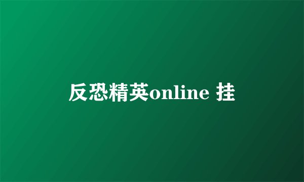 反恐精英online 挂