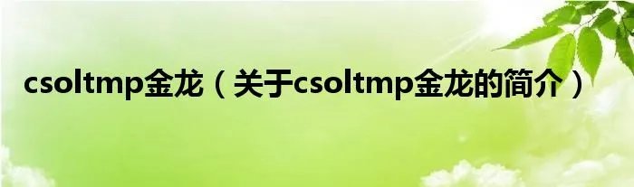 csoltmp金龙（关于csoltmp金龙的简介）