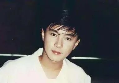 张卫健头发是脱了吗:张卫健为什么打王伯昭