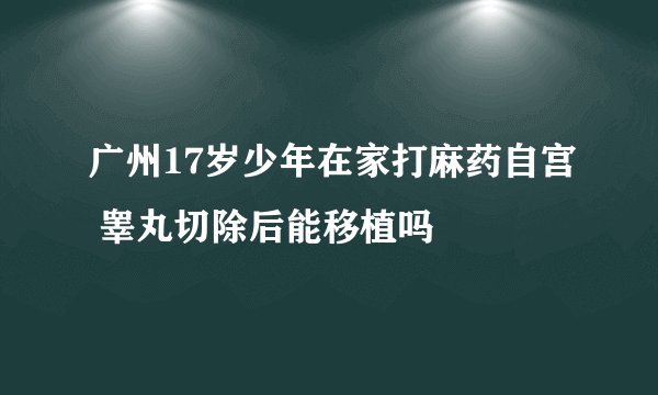 广州17岁少年在家打麻药自宫 睾丸切除后能移植吗
