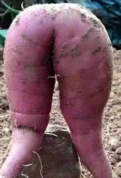 13个图片看你污不污:第一样看就能迷惑到你