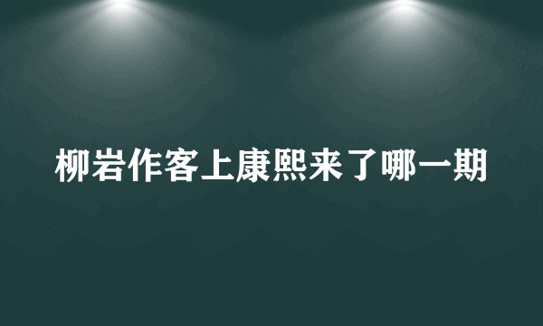 柳岩作客上康熙来了哪一期