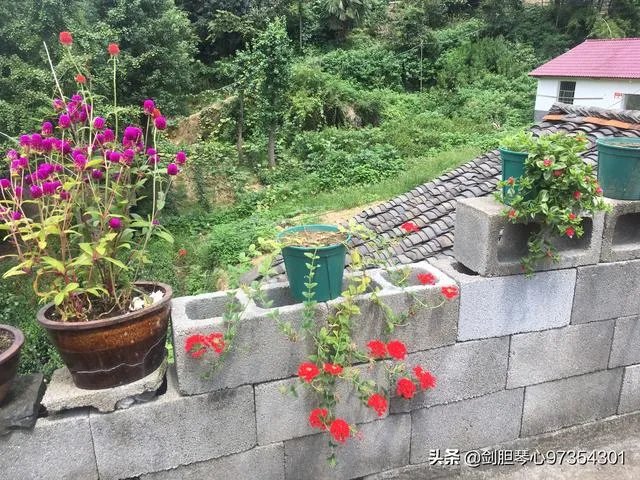 淘宝花店有没有推荐的？