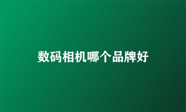 数码相机哪个品牌好