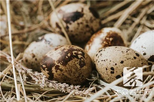 地菜花煮鸡蛋的功效