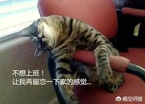 春节后的“节后综合征”怎么破？