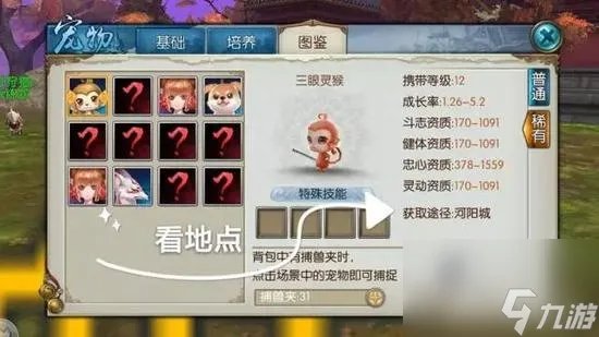 诛仙怎么抓宠物宝宝 诛仙手游捕捉宠物步骤解析