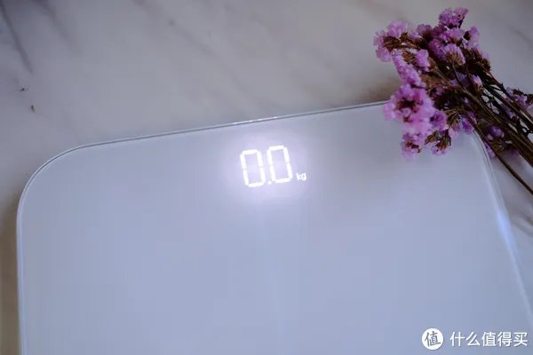 测出你身体年龄的魔秤 — Honor 荣耀 体脂秤初体验