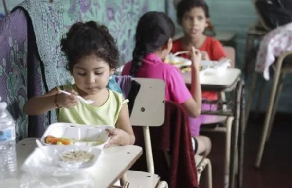 全球近6.9亿人处于饥饿状态,这是什么原因造成的?