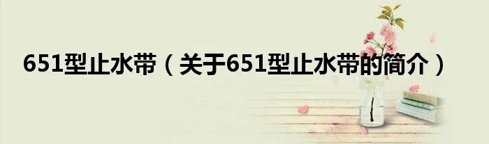 651型止水带（关于651型止水带的简介）