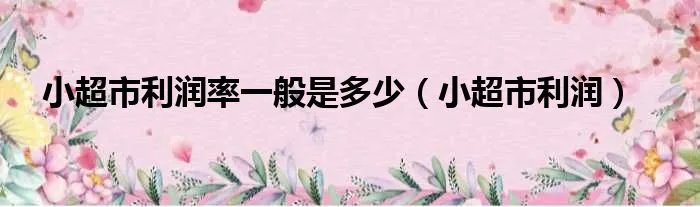 小超市利润率一般是多少（小超市利润）