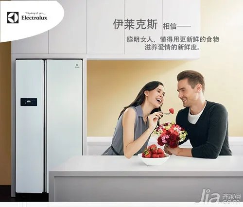 伊莱克斯冰箱怎么样 伊莱克斯冰箱优缺点