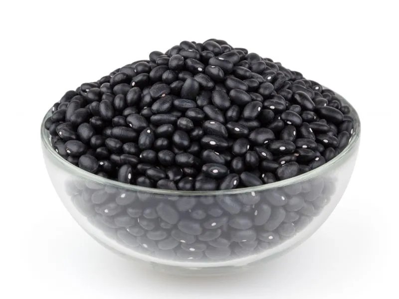 黑瓜子的营养价值