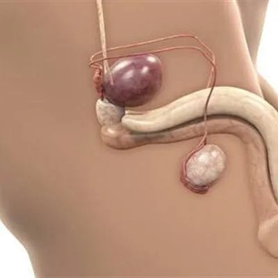 北京包茎什么原因?