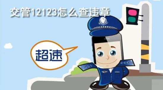 交通违规违章查询