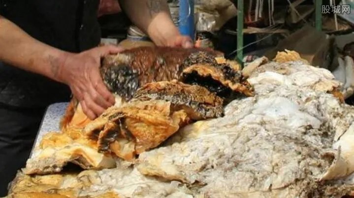 男子捡140斤太岁获利300万 太岁为什这么值钱？