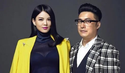 李湘王岳伦名下公司已注销 李湘王岳伦公司注销