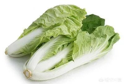 金边白菜是什么菜系?