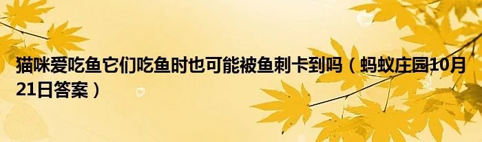 猫咪爱吃鱼它们吃鱼时也可能被鱼刺卡到吗（蚂蚁庄园10月21日答案）