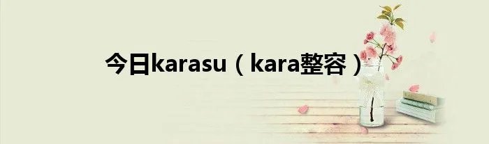 今日karasu(kara整容)