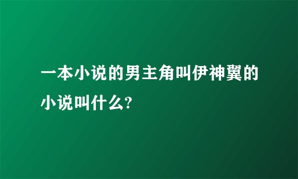 一本小说的男主角叫伊神翼的小说叫什么?